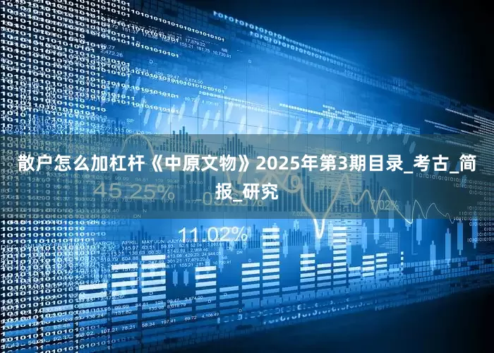 散户怎么加杠杆《中原文物》2025年第3期目录_考古_简报_研究